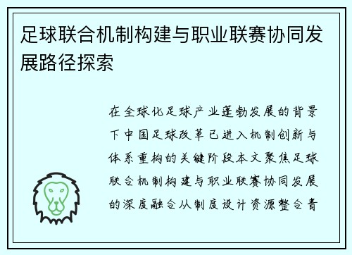 足球联合机制构建与职业联赛协同发展路径探索